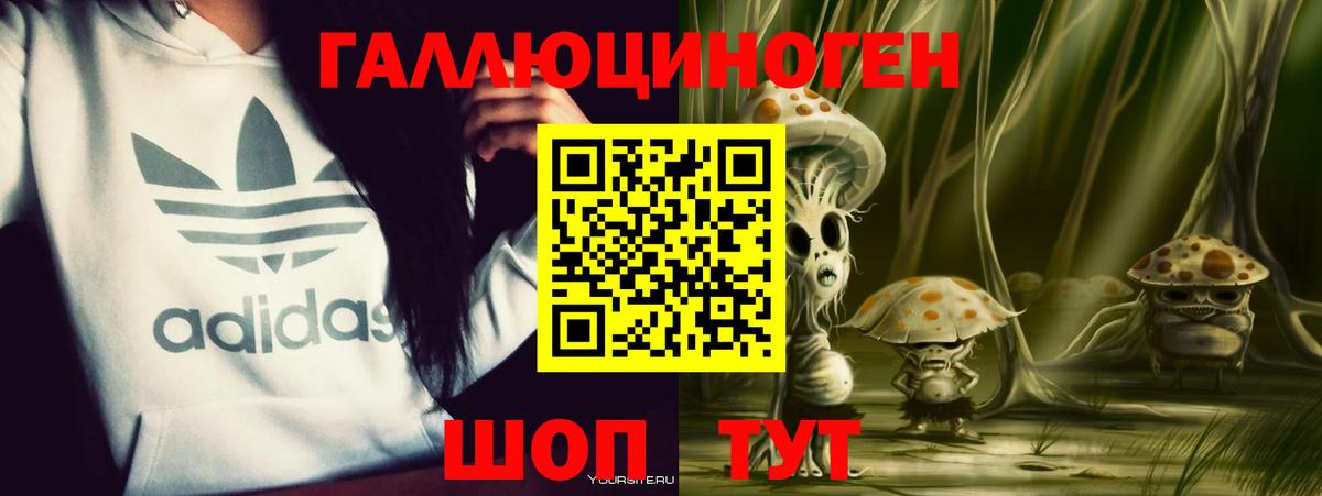 Избербаш  Псилоцибиновые грибы Magic Shrooms  купить наркотик  Галлюциногенные грибы GOLDEN TEACHER  Вход с VPN 